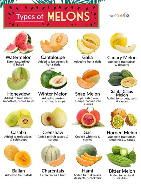 melons tibe|8 types de MELONS